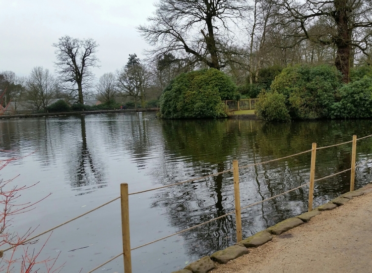 Lake at Dunham Massey, National Trust 19 Feb 2018